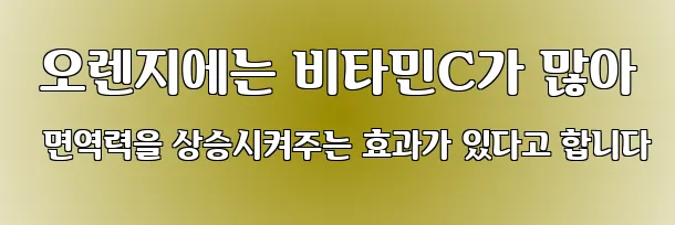  오렌지에는 비타민C가 많아 면역력을 상승시켜주는 효과가 있다고 합니다