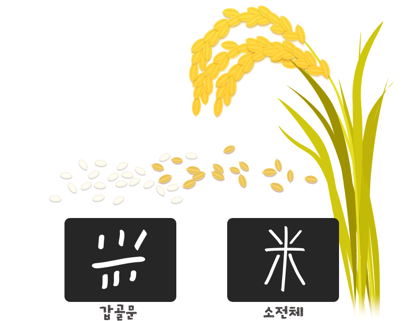 米 (쌀 미) 갑골문 소전체