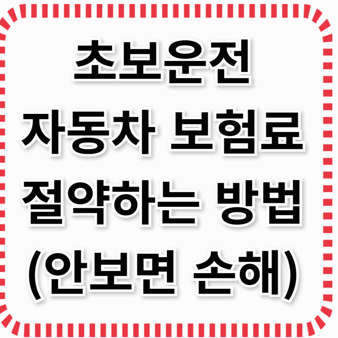 초보 운전자를 위한 자동차 보험료 절약법