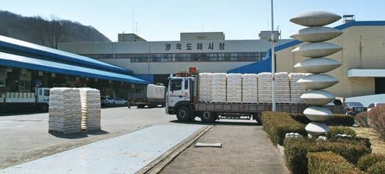  서울시,  양재동 양곡도매시장 이전 및 현대화 설계 공모 당선작 발표...25년 완공