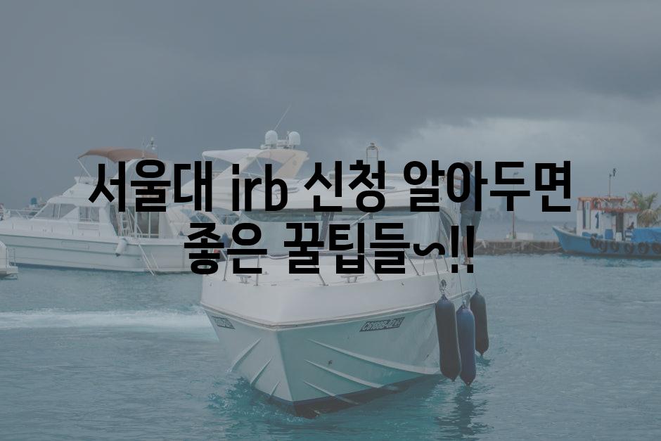 IRB 5
