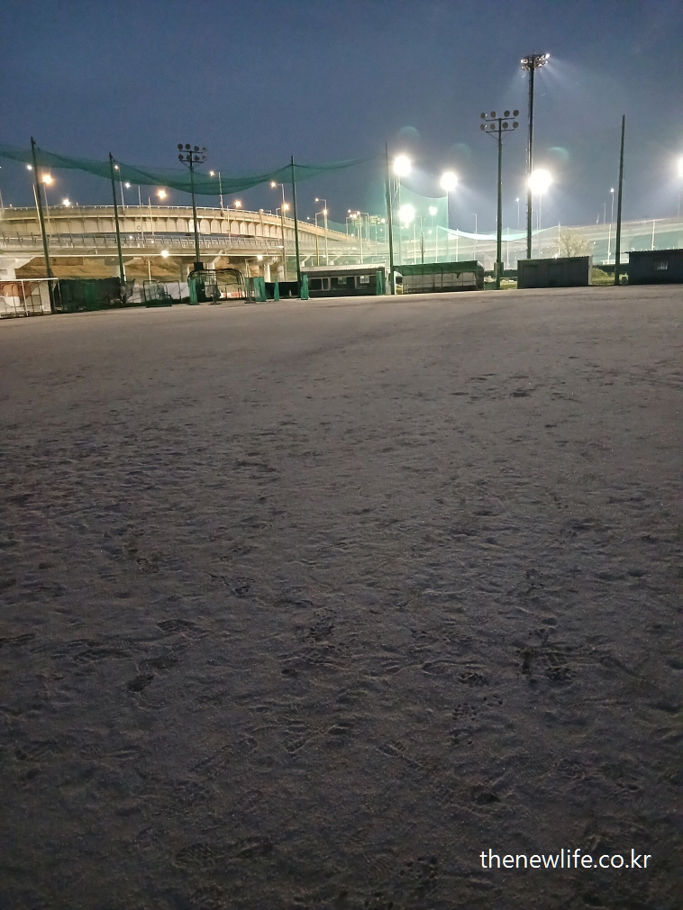 Night view of baseball field lights and netting at Guri Hangang Park-야간 조명이 밝혀진 구리 한강공원 야구장의 모습
