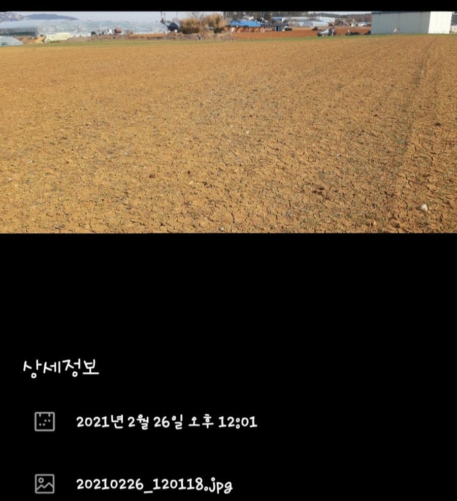 새떼피해를 3