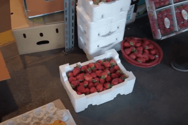 가락동에서-판매되는-딸기의-모습