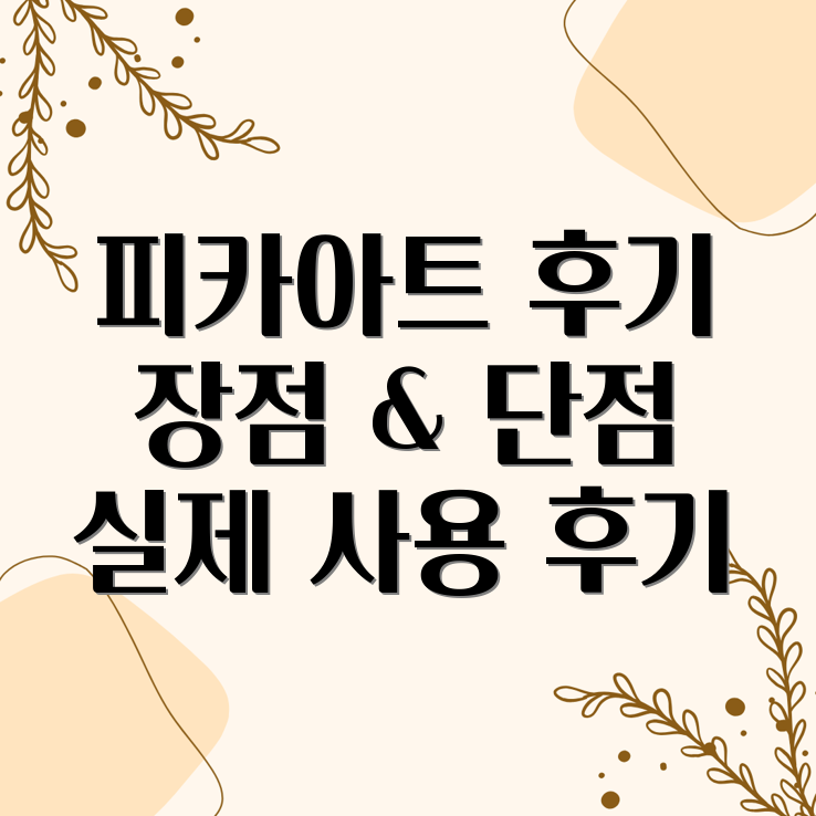 피카아트 후기