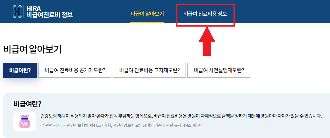 건강보험-비급여-항목-확인-페이지-이미지