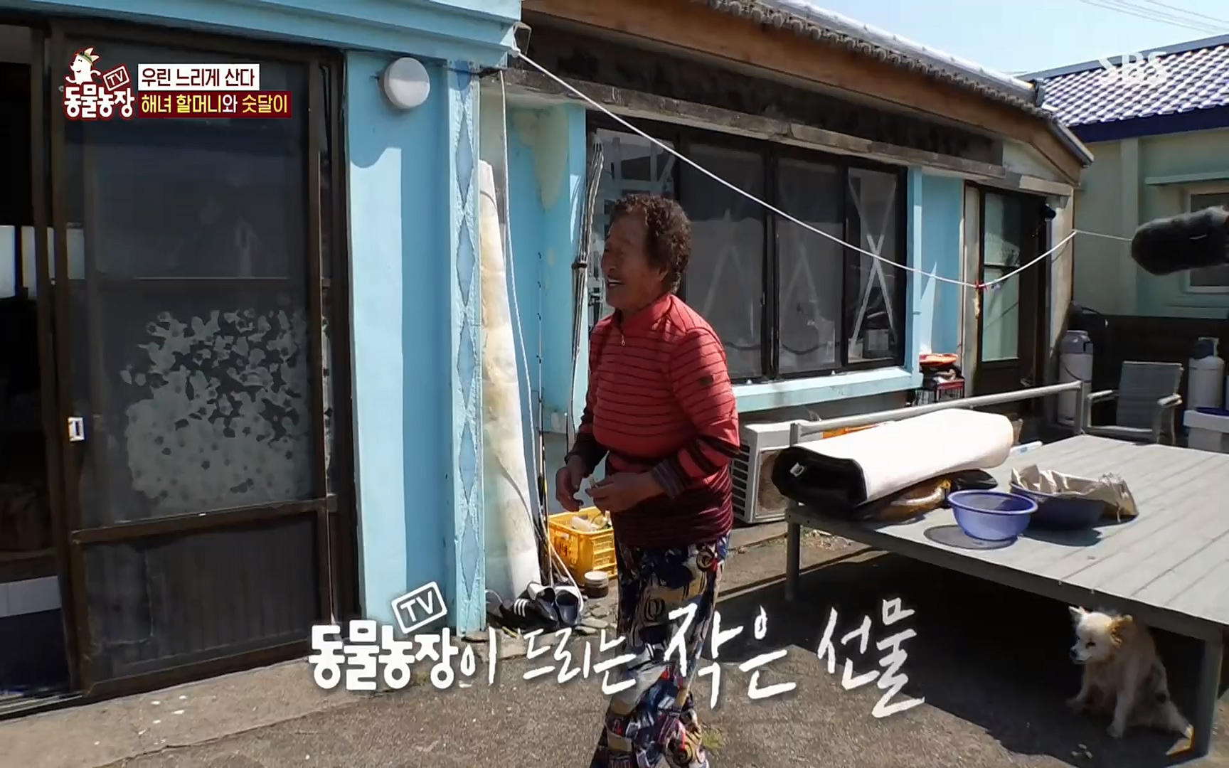 TV 동물농장.E1073.220612p.H264-F1RST.mp4_20220612_181406.837.jpg