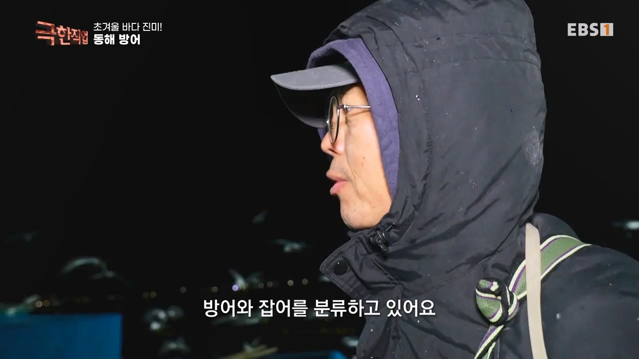 TV - 전 국민의 평생학교 EBS초겨울 바다 진미! 동해 방어, 서해 꽃게.mp4_20231228_204336.919.jpg