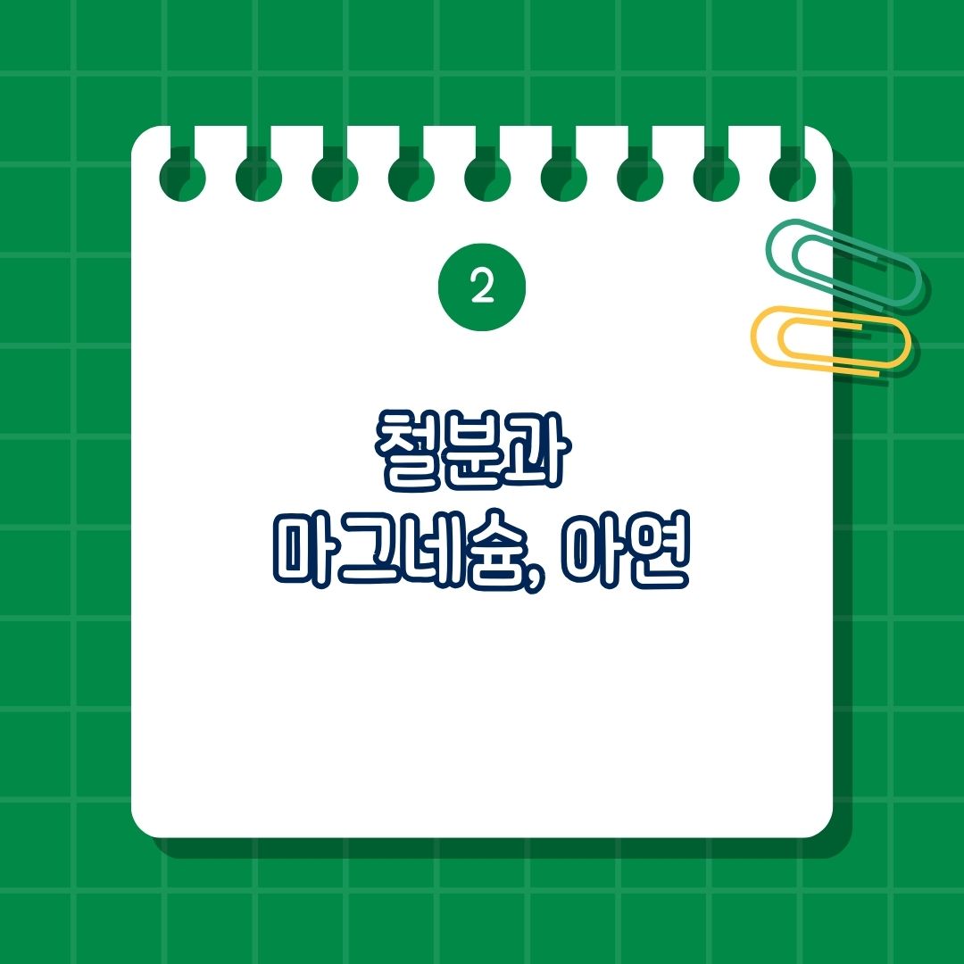 함께 섭취하면 안 되는 철분과 마그네슘,아연