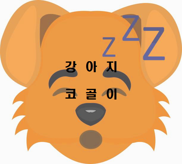 노다지네 잡학다식