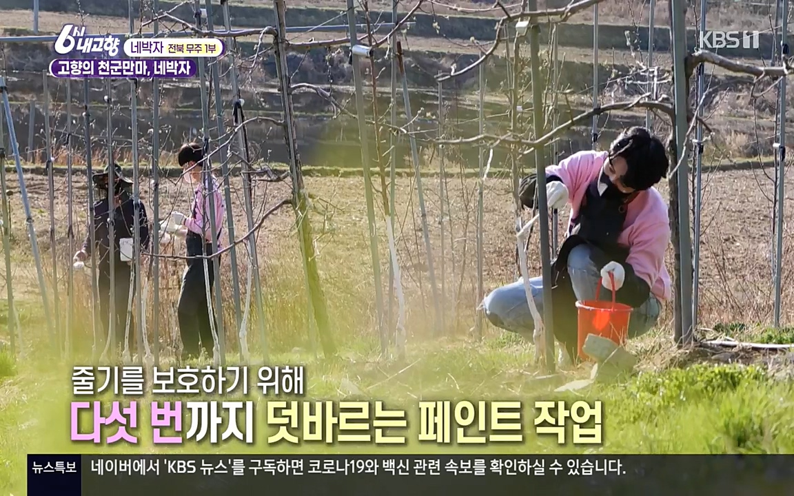 6시 내고향.E7523.220421p-NEXT.mp4_20220507_175733.929.jpg