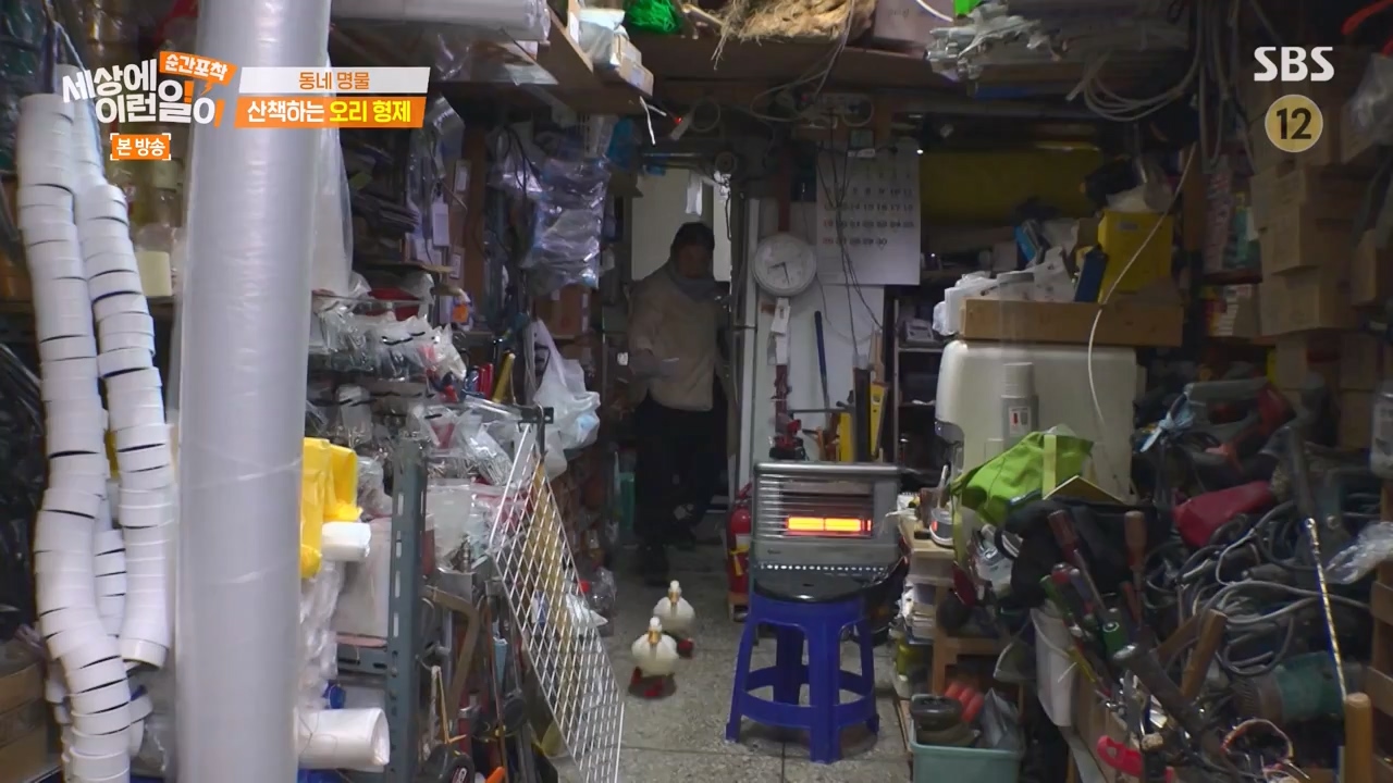 순간포착 세상에 이런일이.E1254.231203p-NEXT.mp4_20231203_140536.400.jpg