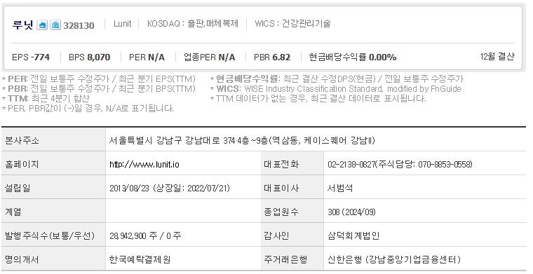 루닛 주가 기업개요 (11월4주)
