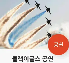 예천곤충축제 블랙이글스공연