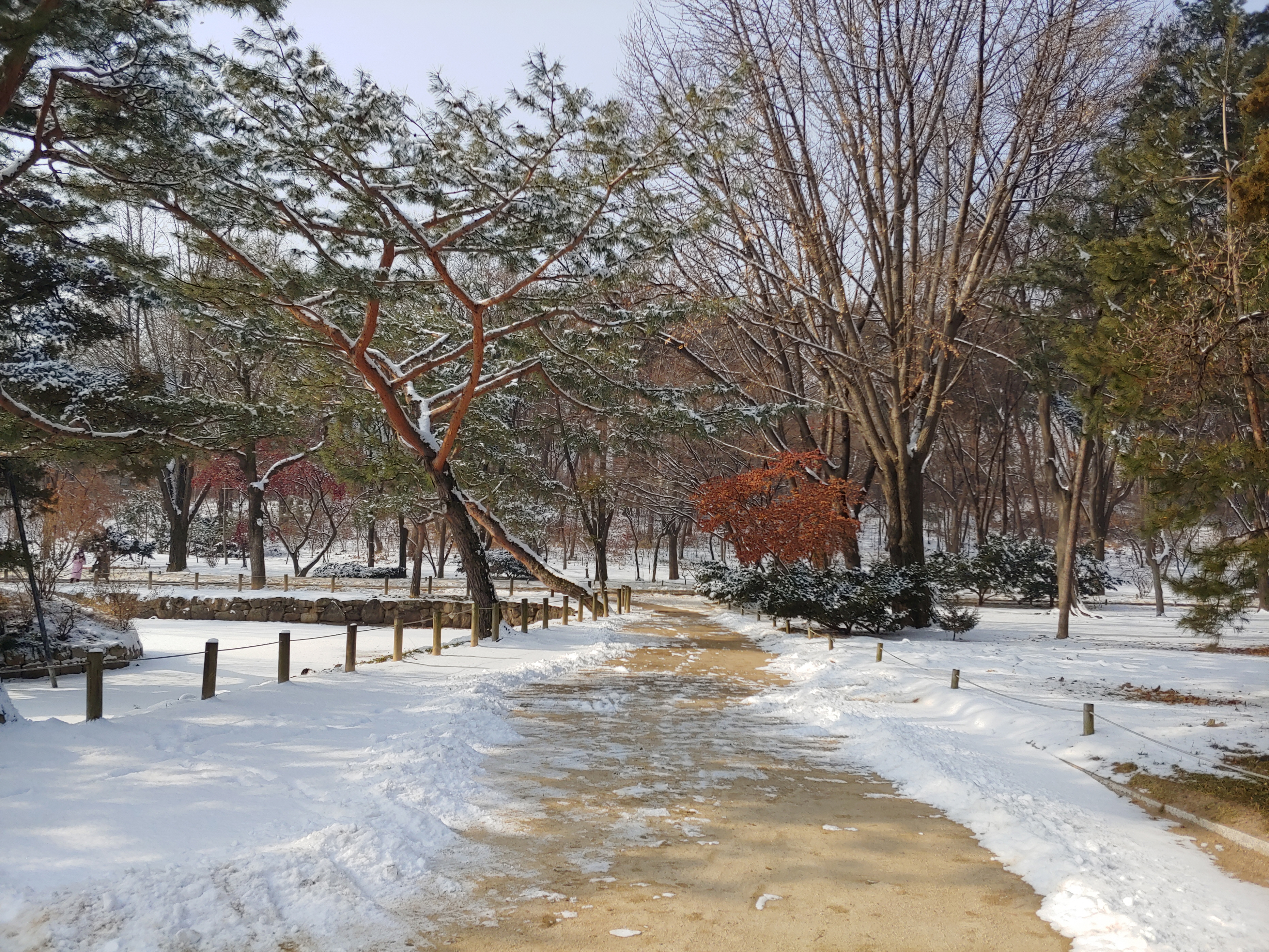 종묘 설경(눈내린 종묘풍경) - 휴식같은 여행으로의 초대 이미지