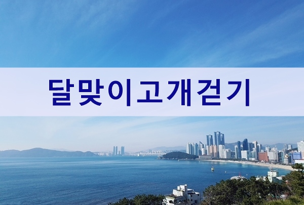  해운대 달맞이고개 문탠로드 혼자걷기