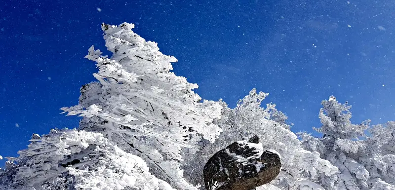 지리산 설경 상고대