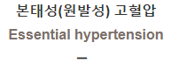  본태성(원발성) 고혈압 [Essential hypertension]