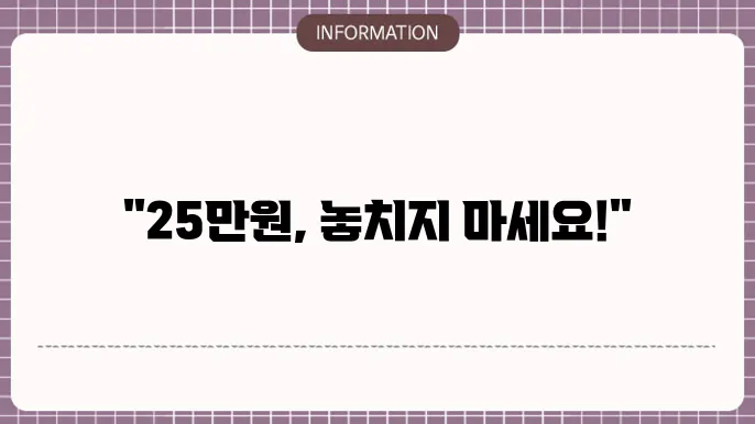 국민 지원금 25만원: 필요한 서류와 절차