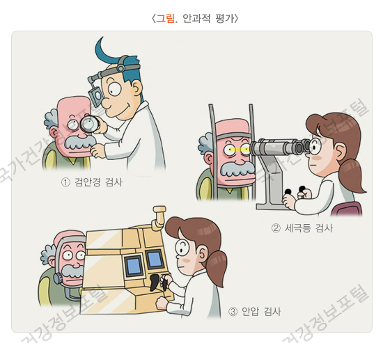 안과적 평가