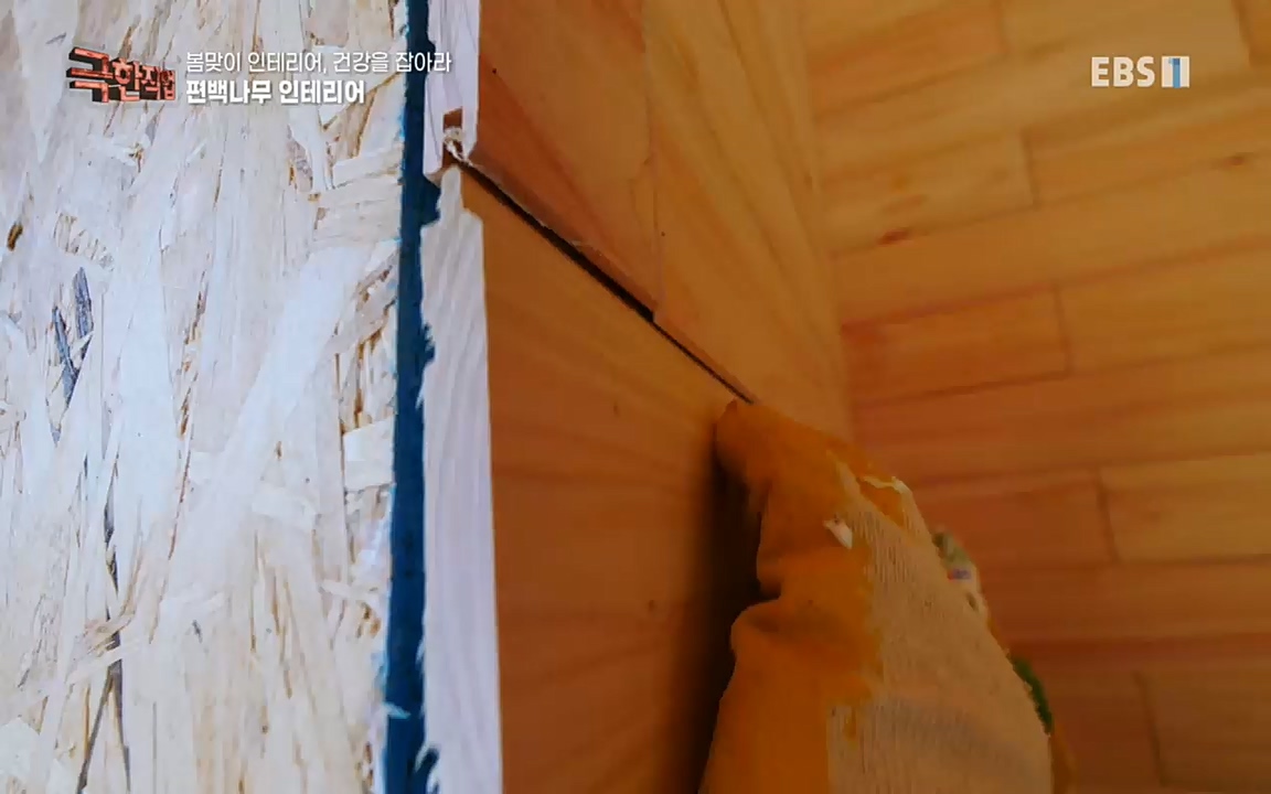 TV - 교육의 중심 EBS봄맞이 인테리어, 천연 소재로 건강을 잡아라.mp4_20220514_192328.039.jpg
