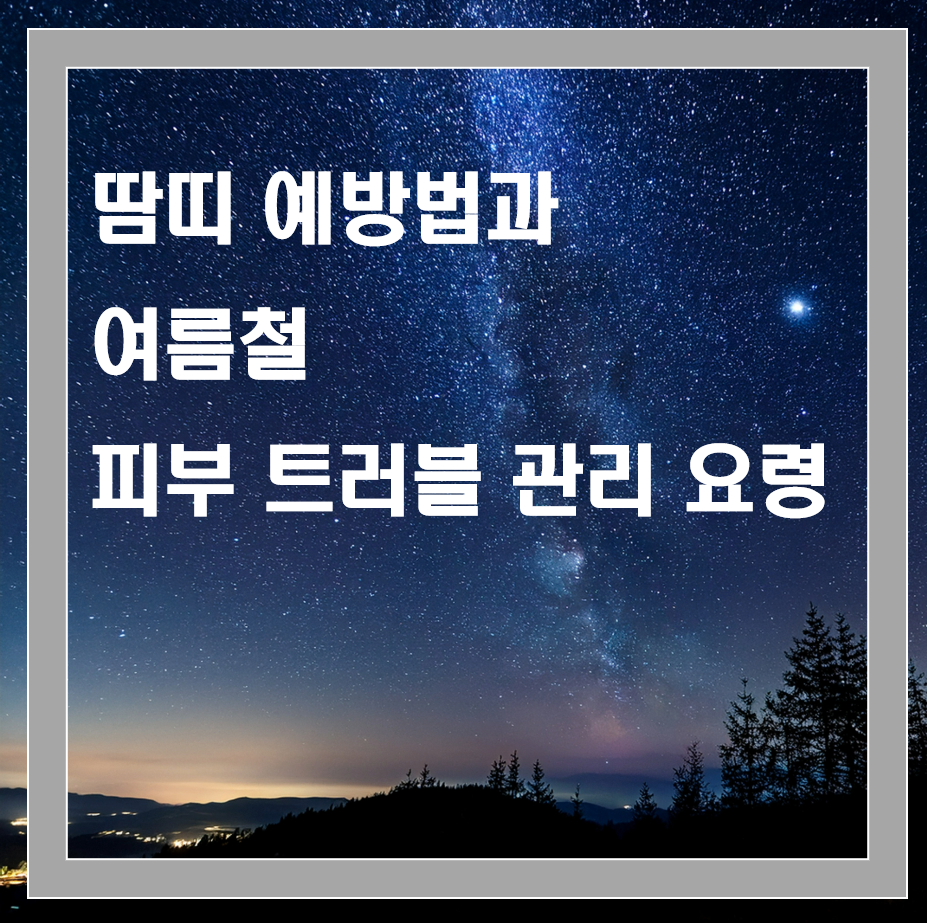 땀띠 예방법과 여름철 피부 트러블 관리 요령