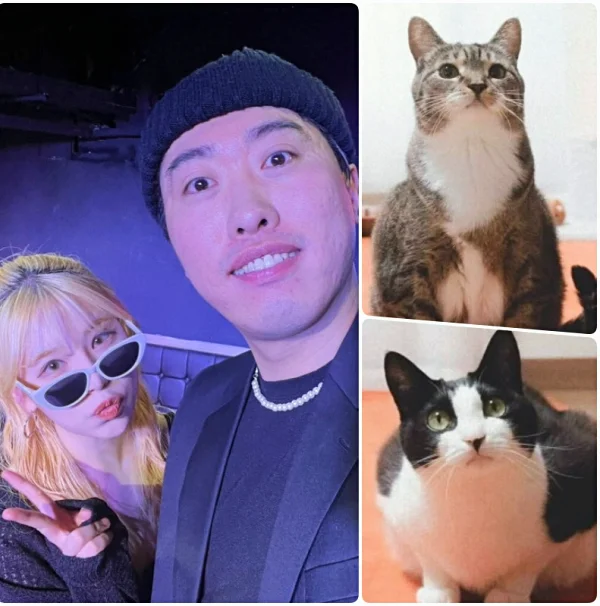송하빈과 고양이들