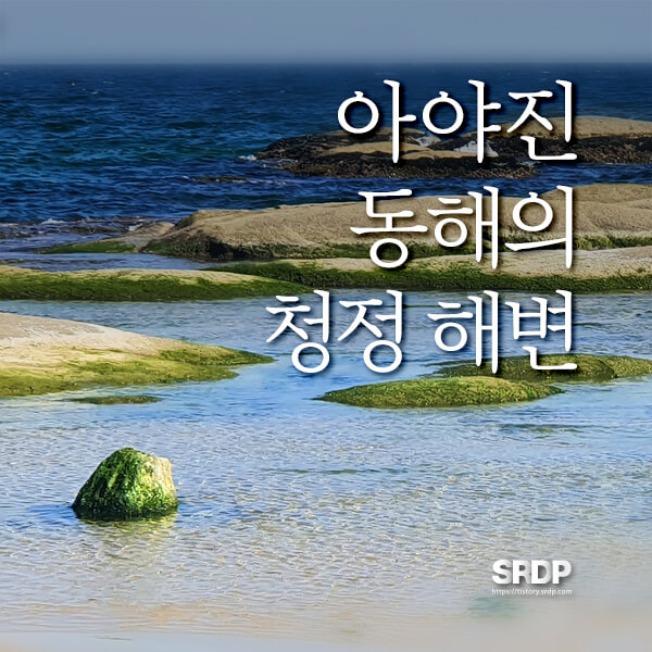 아야진-해변-해수욕장-스위밍터틀-강원도-고성-오션뷰-카페