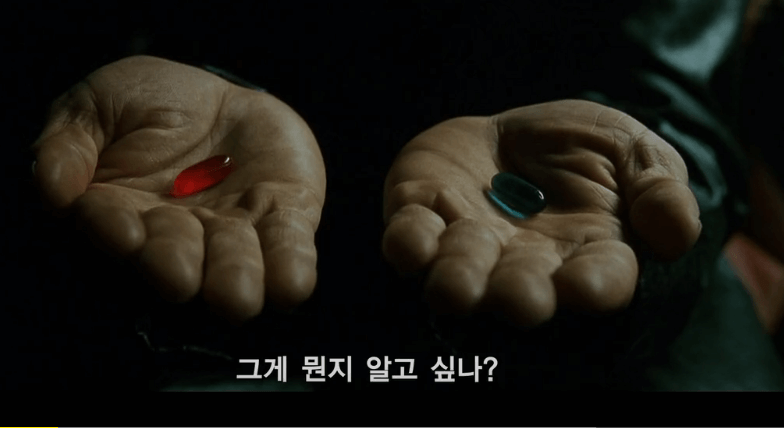 매트릭스 세계관 그리고 장자의 호접몽