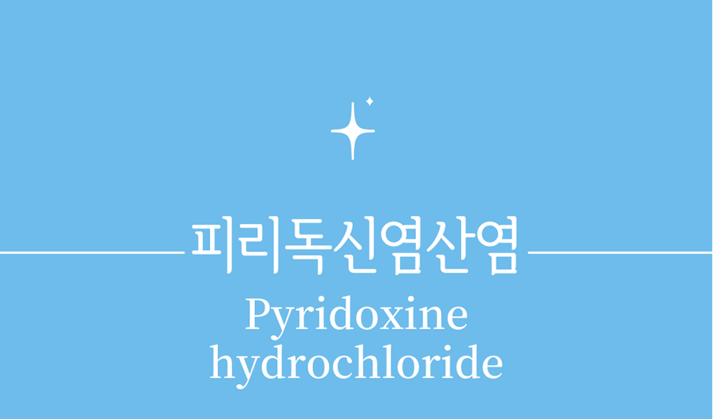 &#39;피리독신염산염(Pyridoxine hydrochloride)&#39;