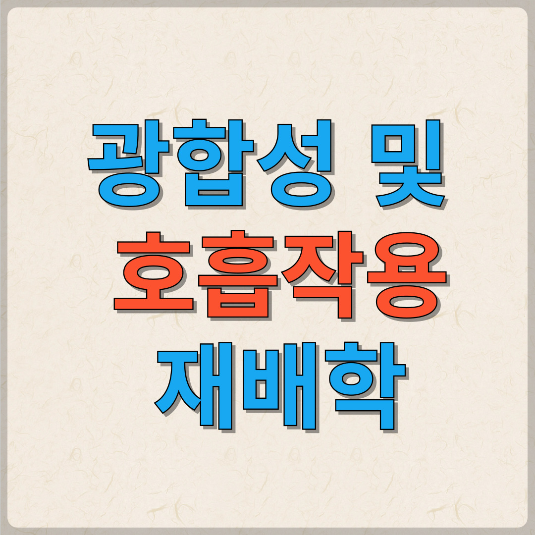 광합성과 호흡작용