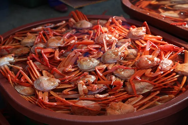 속초 인기 맛집 탐방 여행객이 사랑한 식도락 명소_4