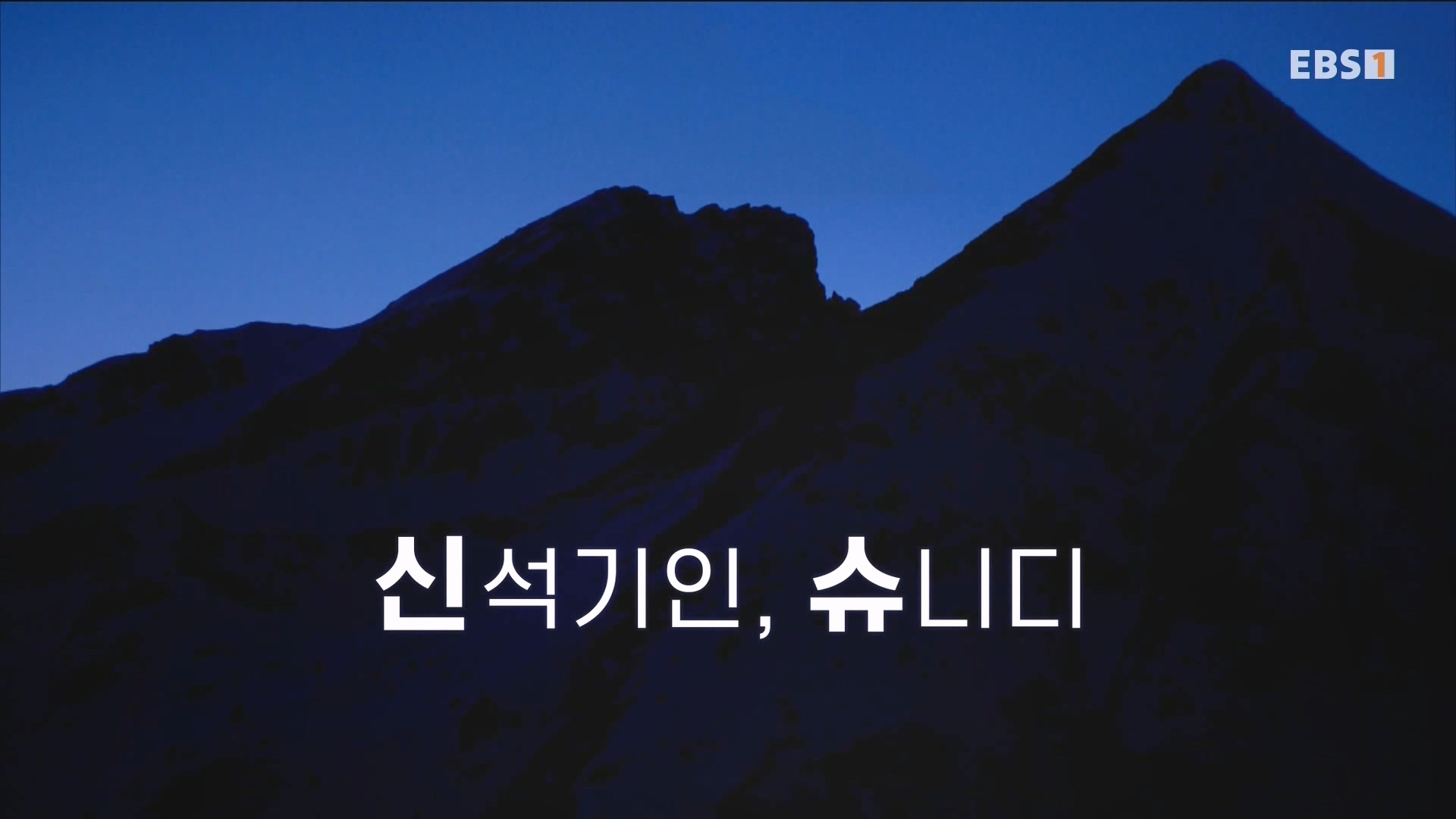 [다큐 스페셜] 신석기인, 슈니디.mp4_20230820_104508.520.jpg