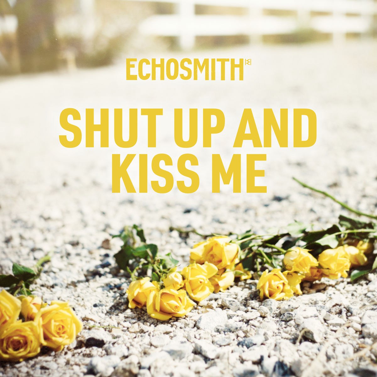  Echosmith – Shut Up and Kiss Me