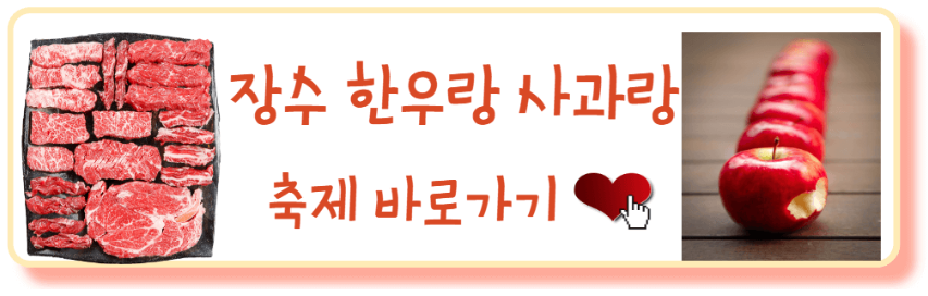 축제 바로가기