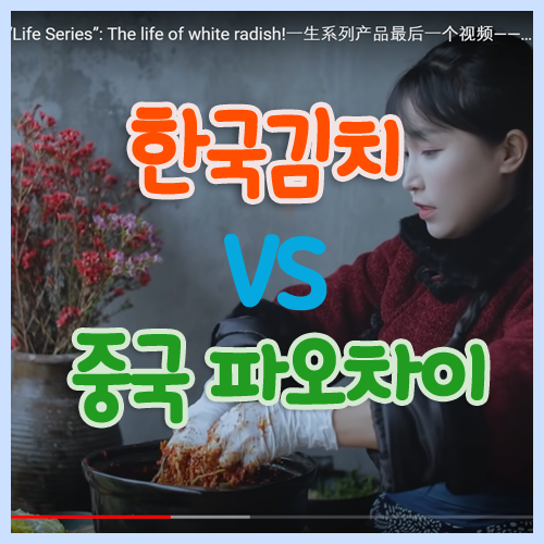  김치 원조 논란