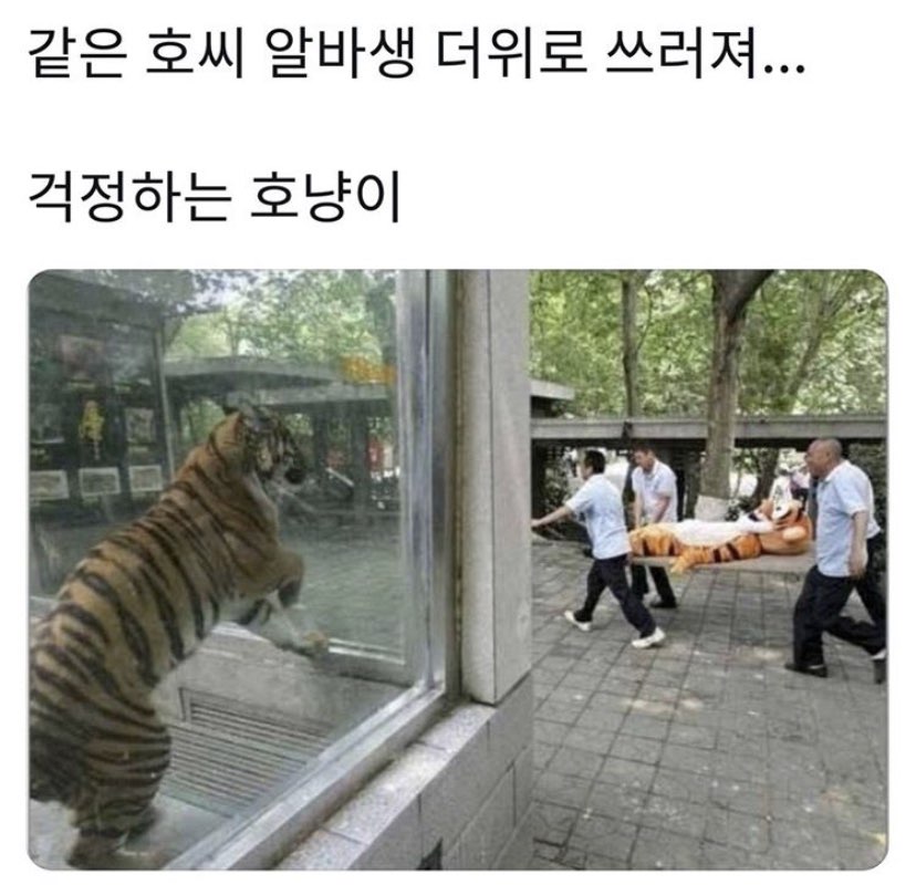  귀여운 동물짤 모음