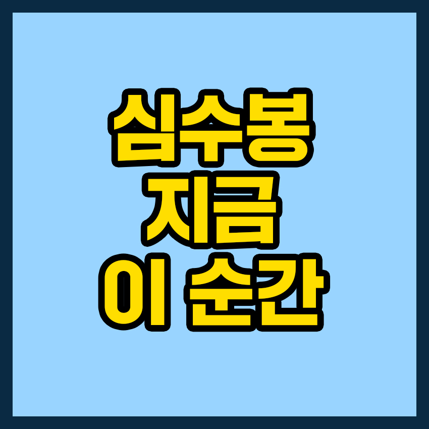 심수봉