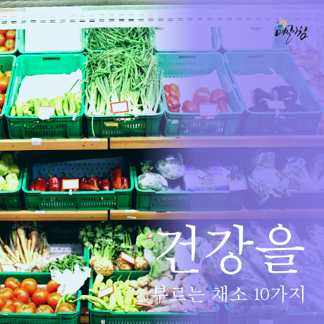  [매일아침좋은글] 건강을 부르는 채소 10가지