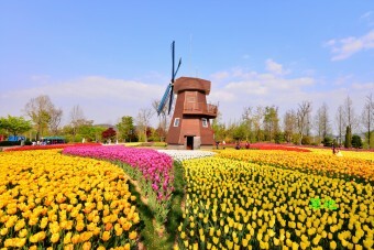  전국 봄 축제 갈 만한 곳.