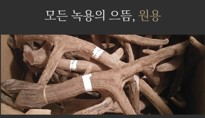 구전녹용 설날 선물 이벤트 이찬원 스페셜 에디션