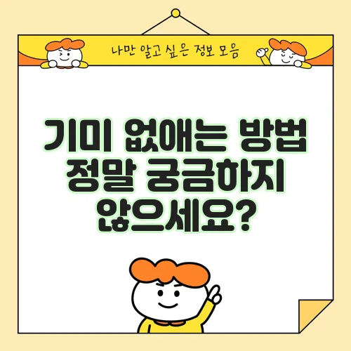 기미 없애는 방법 정말 궁금하지 않으세요?