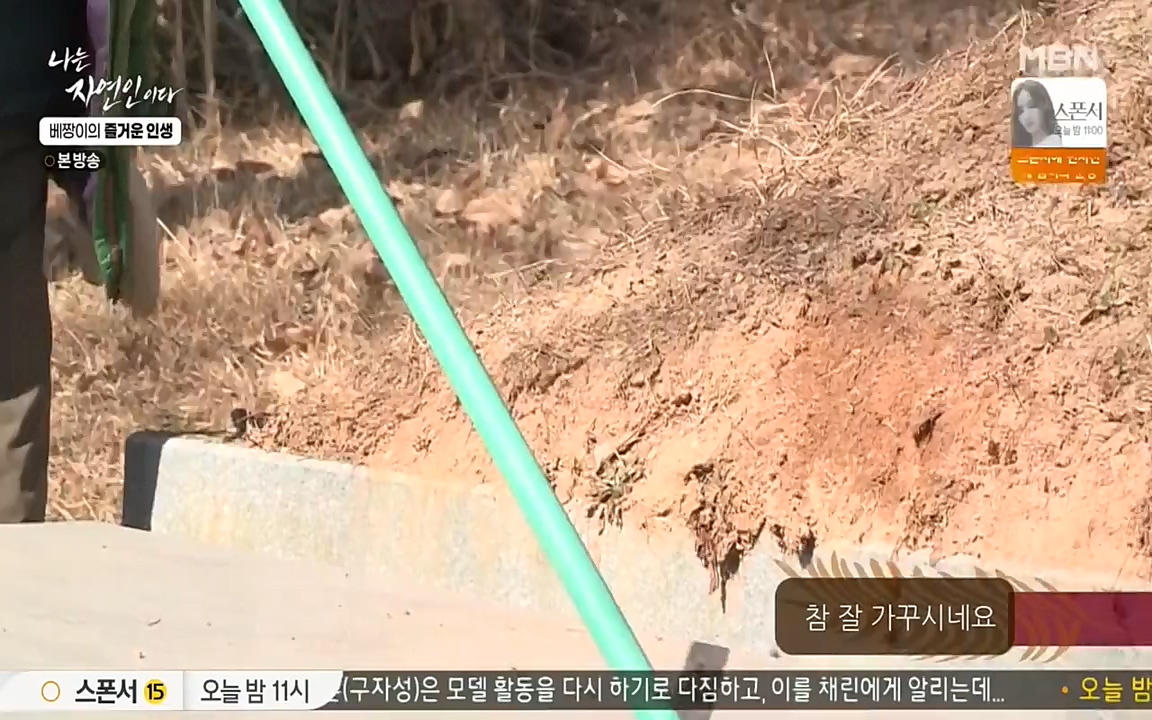 나는 자연인이다.E495.220331p-NEXT.mp4_20220331_174406.247.jpg