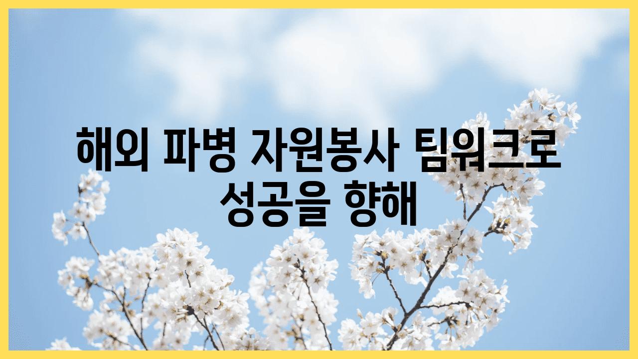 해외 파병 자원봉사 팀워크로 성공을 향해