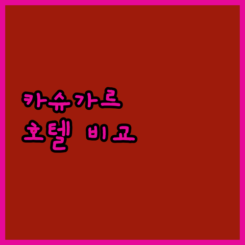 카슈가르 고성 럭셔리 호텔 비교 최고