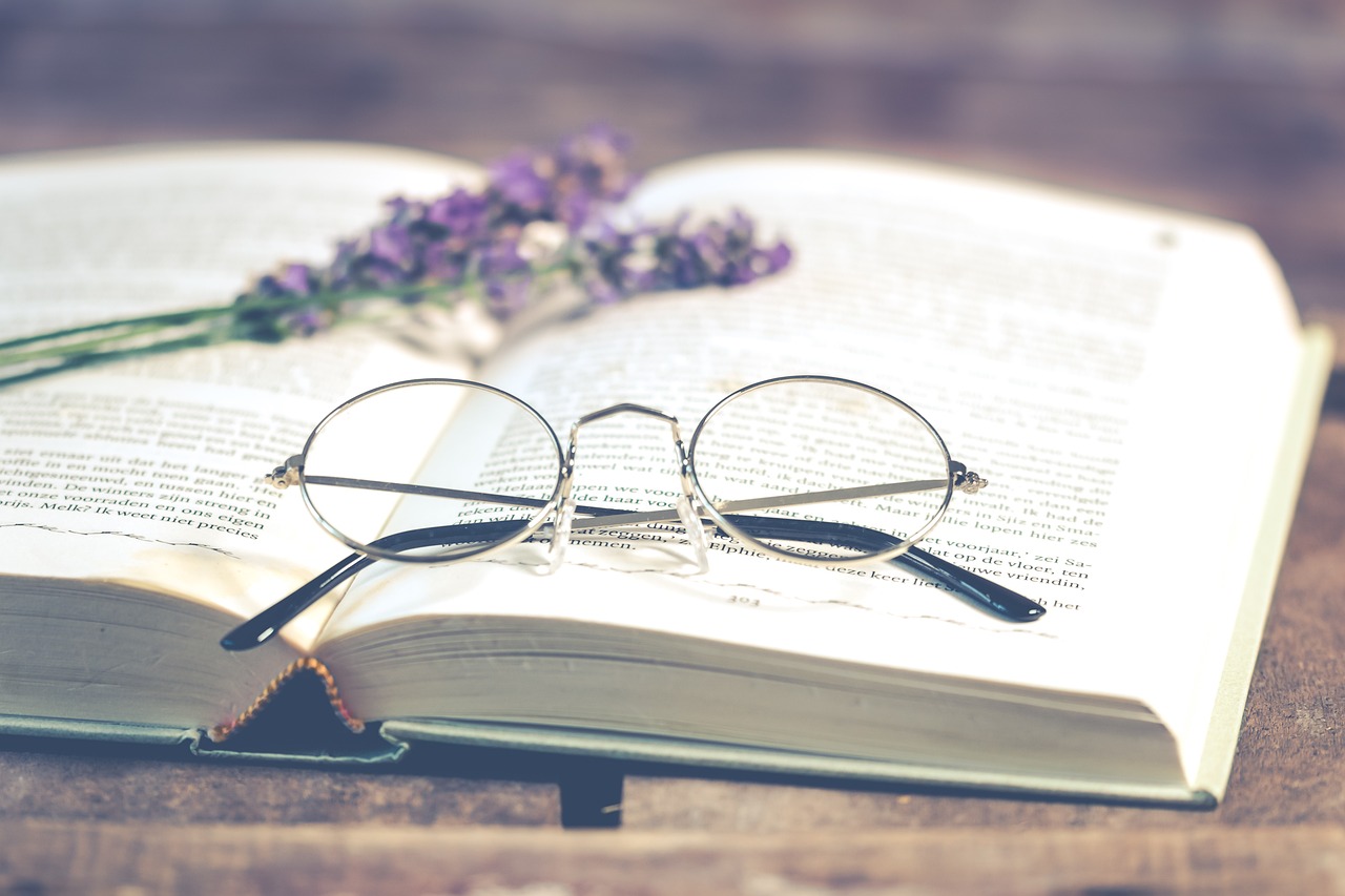 © Ylanite Koppens, Pixabay