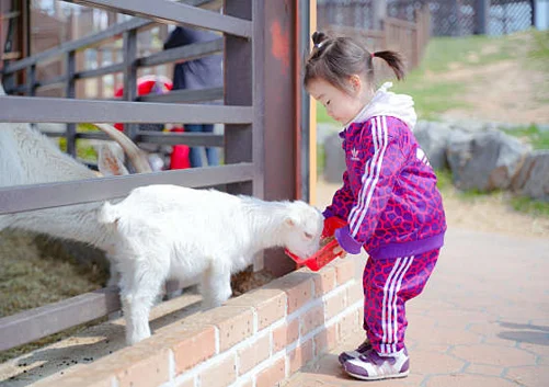 농협경제지주 안성팜랜드