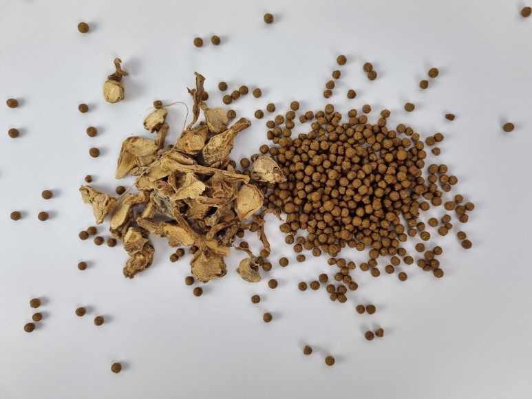 핑거루트 효능 판두라틴 건재 13