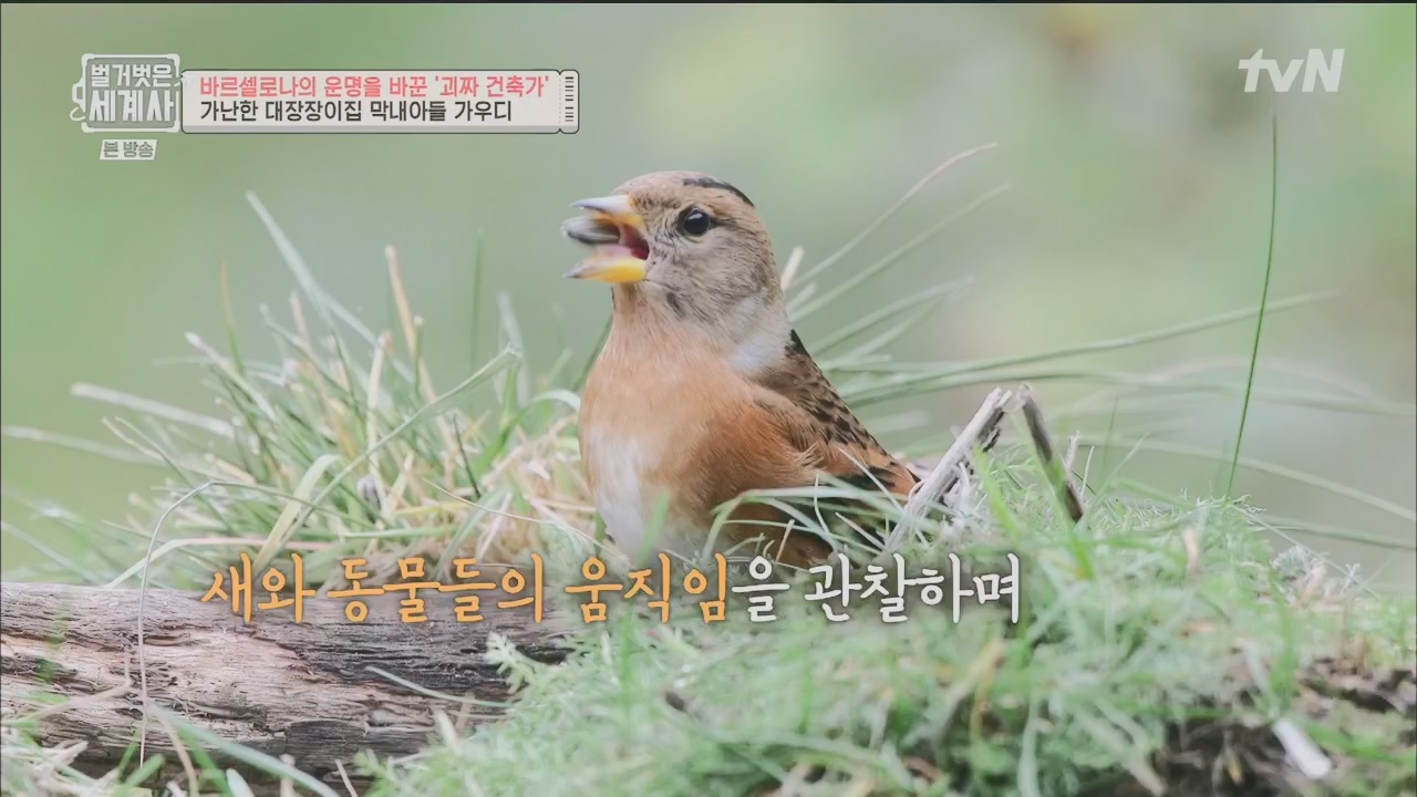 벌거벗은 세계사.E100.230524p.H264-F1RST.mp4_20231203_150655.607.jpg