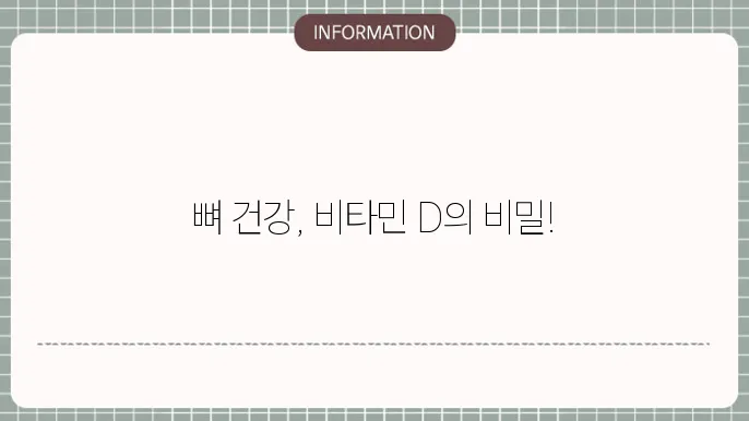 칼슘 비타민d 영양제